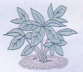 tree_img