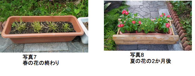 花の終わり