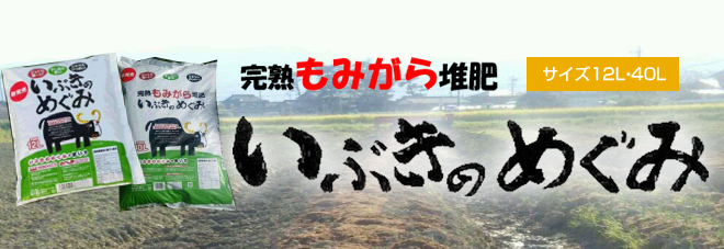 ぶきのめぐみ